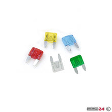 Бушон японски - 10БР/К-Т