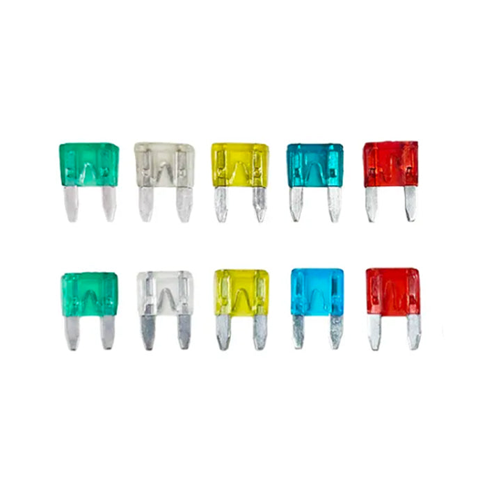 Бушон японски - 10БР/К-Т