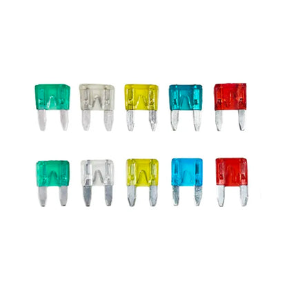 Бушон японски - 10БР/К-Т